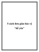 5 cách đơn giản bảo vệ dế yêu pot