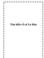 Tìm hiểu về cá La Hán pot