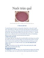 Nuôi trùn quế pdf