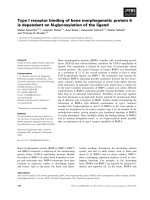 Báo cáo khoa học: Type I receptor binding of bone morphogenetic protein 6 is dependent on N-glycosylation of the ligand pdf