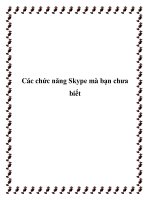 Các chức năng Skype mà bạn chưa biết pot