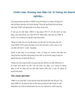 Chiến lược thương mại điện tử: Vì tương lai doanh nghiệp… pot