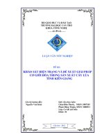 khảo sát hiện trạng và giải pháp cơ giới hóa trong sản xuất cây lúa ở tỉnh kiên giang