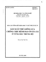 Sản xuất thử giống lúa chống chịu bệnh đạo ôn ITA-212 ở vùng Bắc Trung Bộ pptx