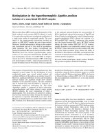 Báo cáo khoa học: Biotinylation in the hyperthermophile Aquifex aeolicus Isolation of a cross-linked BPL:BCCP complex pptx