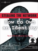 stealing the network - how to own an identity