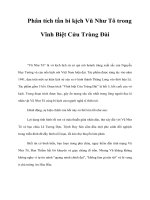 Phân tích tấn bi kịch Vũ Như Tô trong Vĩnh Biệt Cửu Trùng Đài pot