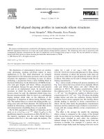 Self aligned doping profiles in nanoscale silicon structures