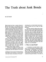 THE TRUTH ABOUT JUNK BONDS doc