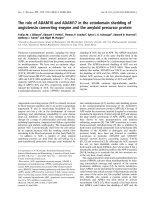 Báo cáo khoa học: The role of ADAM10 and ADAM17 in the ectodomain shedding of angiotensin converting enzyme and the amyloid precursor protein ppt