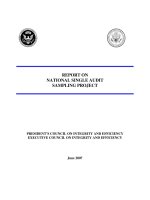 PRESIDENT’S COUNCIL ON INTEGRITY AND EFFICIENCY EXECUTIVE COUNCIL ON INTEGRITY AND EFFICIENCY pptx