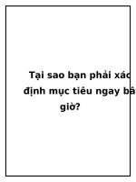 Tại sao bạn phải xác định mục tiêu ngay bây giờ? pdf