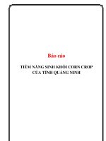 báo cáo tiềm năng sinh khối corn crop của tỉnh quảng ninh