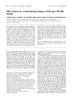 Báo cáo khóa học: FRET evidence for a conformational change in TFIIB upon TBP-DNA binding pptx