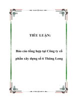TIỂU LUẬN: Báo cáo tổng hợp tại Công ty cổ phần xây dựng số 6 Thăng Long pdf