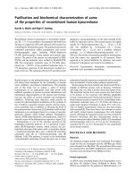 Báo cáo Y học: Puriﬁcation and biochemical characterization of some of the properties of recombinant human kynureninase pptx