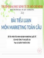 PHÂN TÍCH KINH NGHIỆM MARKETING QuỐC TẾ CỦA MỘT CÔNG TY ĐA QUỐC GIA ppt