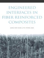 ENGINEERED INTERFACES IN FIBER REINFORCED COMPOSITESJANG-KYO KIM & Y I U docx