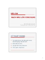 Siêu âm mạch máu lớn vùng bụng pdf