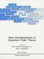 New developments in quantum field theory   p  damagaard, j  jurkiewicz