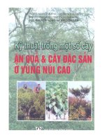 Kỹ thuật trồng một số cây ăn quả và cây đặc sản ở vùng núi cao pot