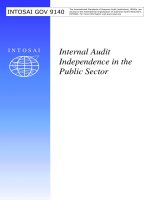 Internal Audit Independence in the Public Sector docx