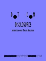 DOT COM DISCLOSURES INFORMATION ABOUT ONLINE ADVERTISING docx