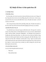 Kỹ thuật cắt hoa và bảo quản hoa cắt doc