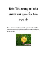 Đón Tết, trang trí nhà mình với quả cầu hoa rực rỡ docx