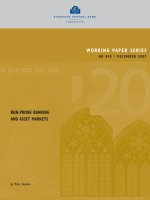 WORKING PAPER SERIES NO 845 / DECEMBER 2007: RUN-PRONE BANKING AND ASSET MARKETS doc