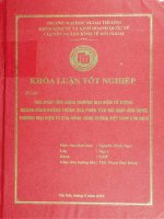 Giải pháp ứng dụng thương mại điện tử trong ngành hàng không thông qua phân tích mô hình ứng dụng thương mại điện tử của hãng hàng không Việt Nam Airlines