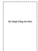 Kỹ thuật trồng Sao Đen pptx