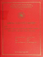 Mối quan hệ giữa phát triển công nghiệp phụ trợ và thu hút FDI ở Việt Nam
