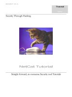 tìm hiểu về netcat (english)