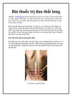 Bài thuốc trị đau thắt lưng docx