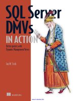 SQL Server DMVs in Action pptx