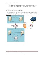 đồ án (thủy) pot