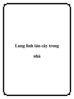 Lung linh tán cây trong nhà pdf