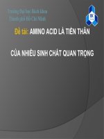 Tiểu Luận_aa là tiền thân của nhiều sinh chất quan trọng pptx