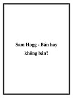 Sam Hogg - Bán hay không bán? pptx