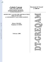 MONETARY VALUES FOR AIR POLLUTION RISK OF DEATH: A CONTINGENT VALUATION SURVEY ppt