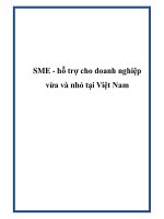 SME - hỗ trợ cho doanh nghiệp vừa và nhỏ tại Việt Nam docx