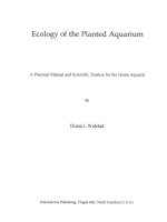 Ecology of the Planted Aquarium: A Practical Manual and Scientific Treatise for the Home Aquarist pot