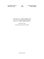 ĐÀ NẴNG: LỰA CHỌN CHÍNH SÁCH ĐẦU TƯ VÀ PHÁT TRIỂN KINH TẾ pot