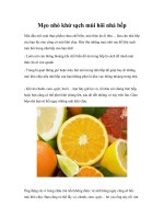 Mẹo nhỏ khử sạch mùi hôi nhà bếp pot