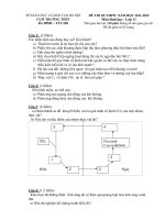 Đề thi Olympic Tây Hồ năm 2012 môn Sinh lớp 11 pot