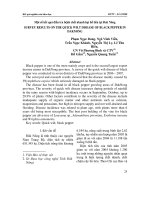 Một số kết quả điều tra bệnh chết nhanh hại hồ tiêu tại Đak Nông pptx