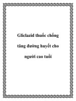 Gliclazid thuốc chống tăng đường huyết cho người cao tuổi docx