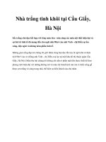 Nhà trắng tinh khôi tại Cầu Giấy, Hà Nội pdf