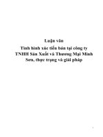 Luận văn Tình hình xúc tiến bán tại công ty TNHH Sản Xuất và Thương Mại Minh Sơn, thực trạng và giải pháp pdf